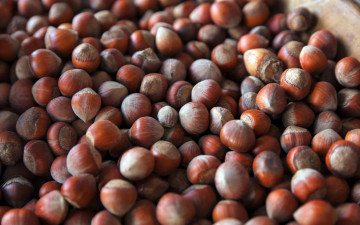 Картинка еда орехи +каштаны +какао-бобы фундук