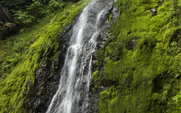 Картинка природа водопады поток водопад вода