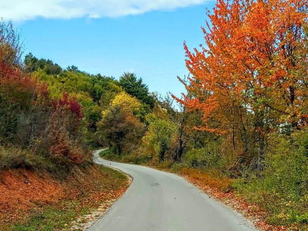 Обои картинки фото природа, дороги, листопад, дорога, осень