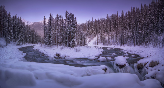 Обои картинки фото природа, зима, простор
