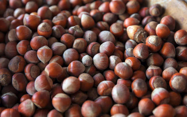 Обои картинки фото еда, орехи,  каштаны,  какао-бобы, фундук