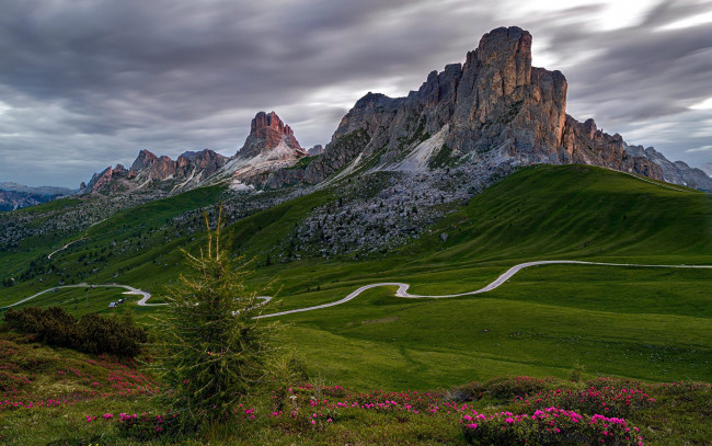 Обои картинки фото природа, горы, луга, дорога, серпантин