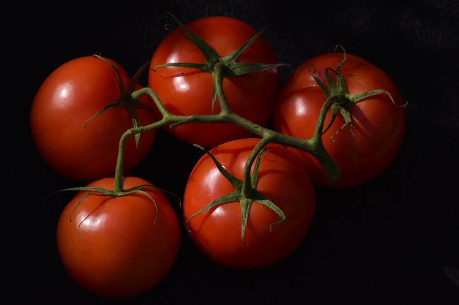 Обои картинки фото еда, помидоры, снедь