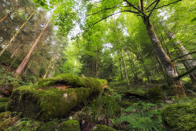 Обои картинки фото природа, реки, озера, простор