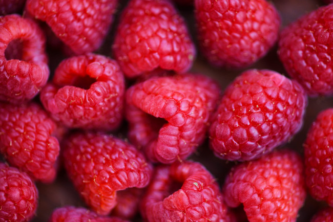 Обои картинки фото еда, малина, спелая, ягоды