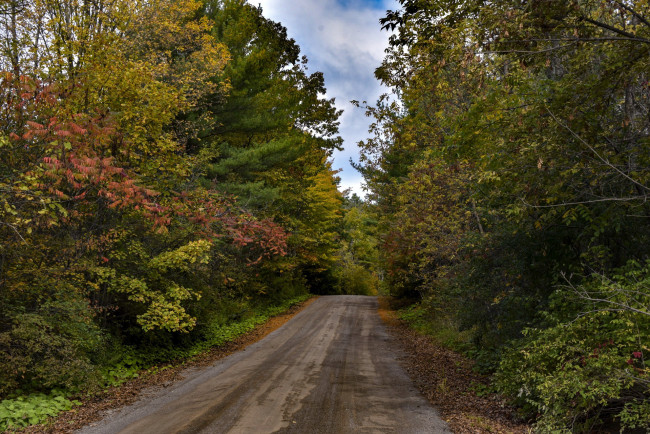 Обои картинки фото природа, дороги, дорога, проселочная