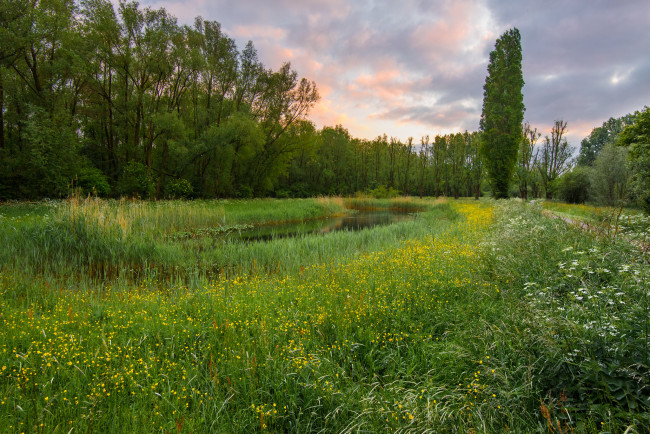 Обои картинки фото природа, луга, простор