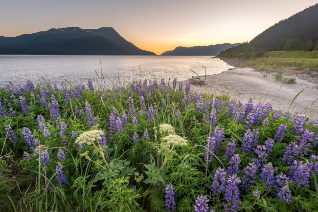 Обои картинки фото природа, побережье, простор