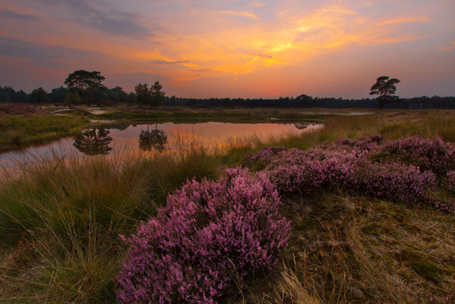 Обои картинки фото природа, восходы, закаты, простор