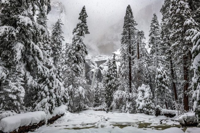 Обои картинки фото природа, зима, простор