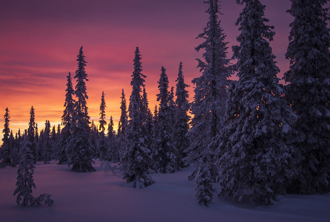 Обои картинки фото природа, зима, простор