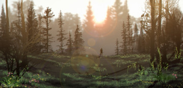 Картинка рисованное природа человек лес