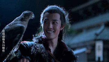 обоя кино фильмы, the wolf, цзичун, птица