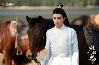 обоя кино фильмы, the inextricable destiny, парень, лошади