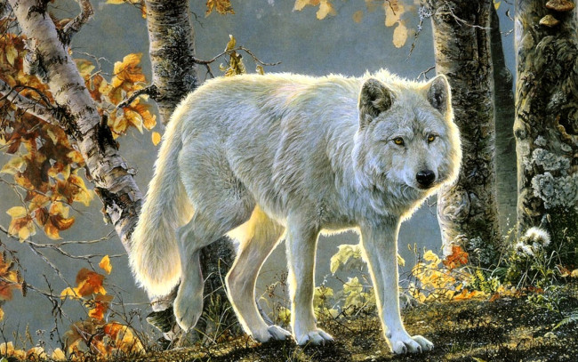 Обои картинки фото рисованное, животные,  волки, волк, белый, деревья, осень