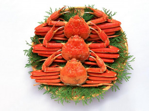 Картинка еда рыба морепродукты суши роллы