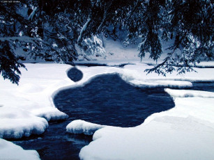 Картинка компьютеры apple