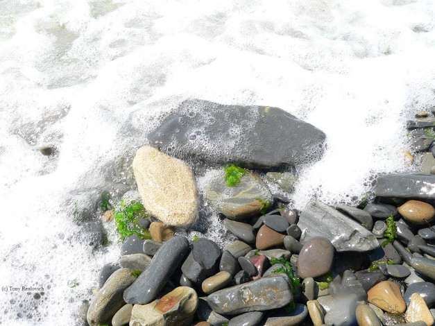 Обои картинки фото 