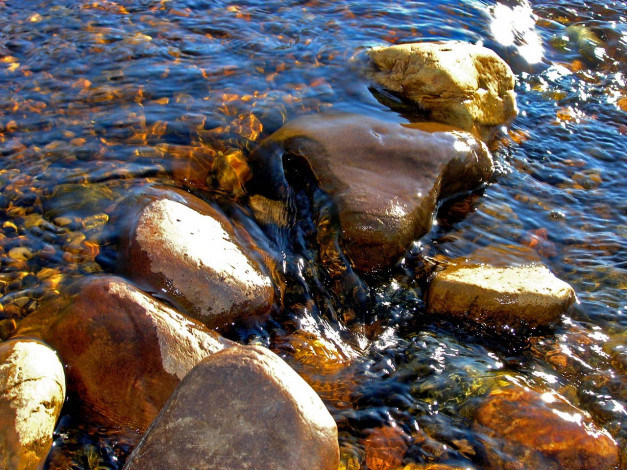 Обои картинки фото 