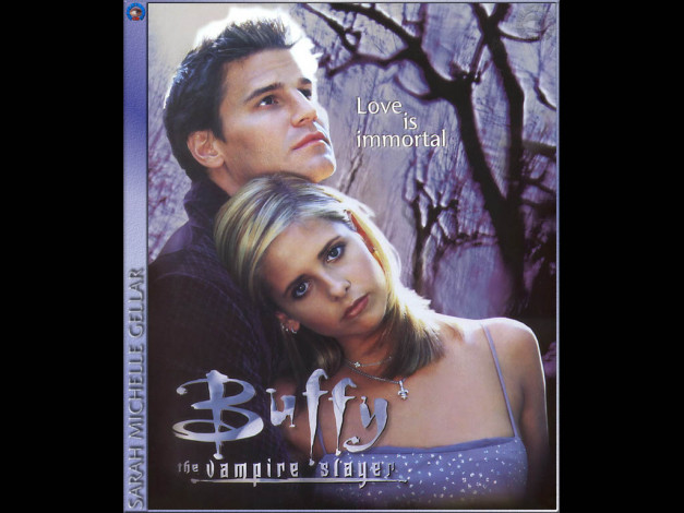 Обои картинки фото кино, фильмы, buffy, the, vampire, slayer