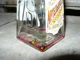 Картинка хорошо лежим юмор приколы