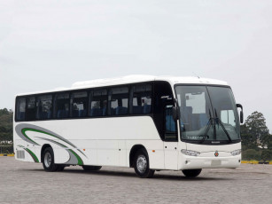 Картинка автомобили автобусы