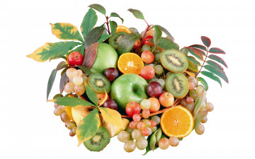 Картинка еда фрукты ягоды