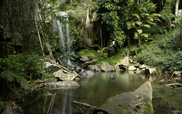 Картинка природа реки озера