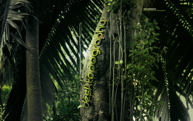 Обои картинки фото 3д, графика, nature, landscape, природа