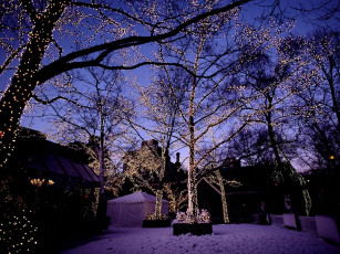 Картинка праздничные новогодние пейзажи