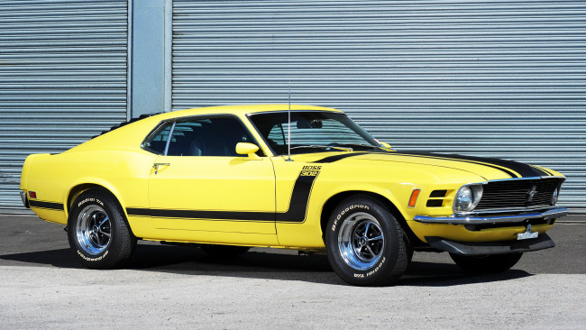 Обои картинки фото mustang, автомобили, скорость, мощь, стиль, автомобиль