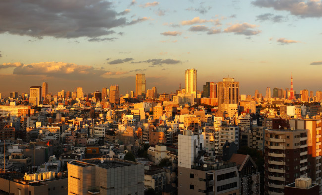 Обои картинки фото города, токио, Япония, панорама