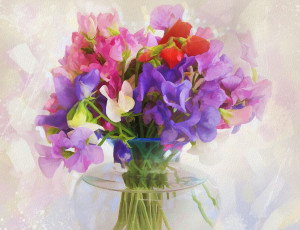 Картинка рисованные цветы душистый горошек