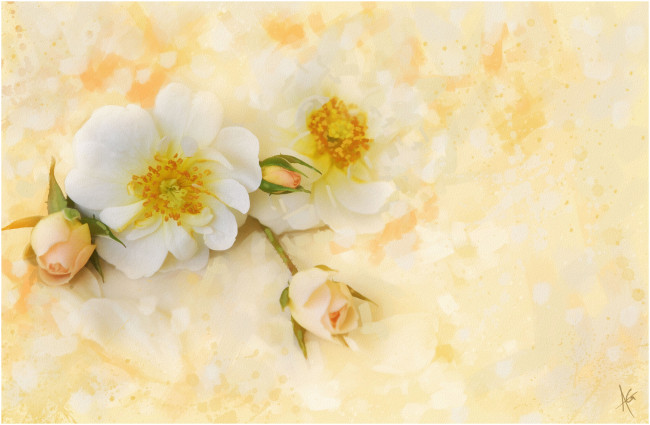 Обои картинки фото рисованные, цветы, розы