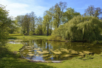 Картинка природа реки озера лес река