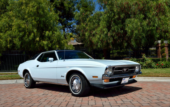 Обои картинки фото автомобили, mustang