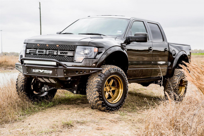 Обои картинки фото автомобили, custom pick-up, ford