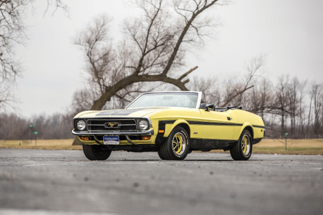 Обои картинки фото автомобили, mustang