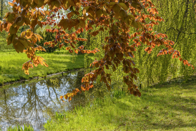 Обои картинки фото природа, реки, озера, река, лес