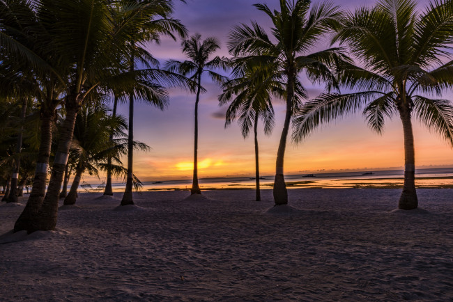 Обои картинки фото природа, тропики, рассвет