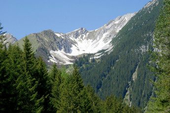 Картинка природа горы деревья