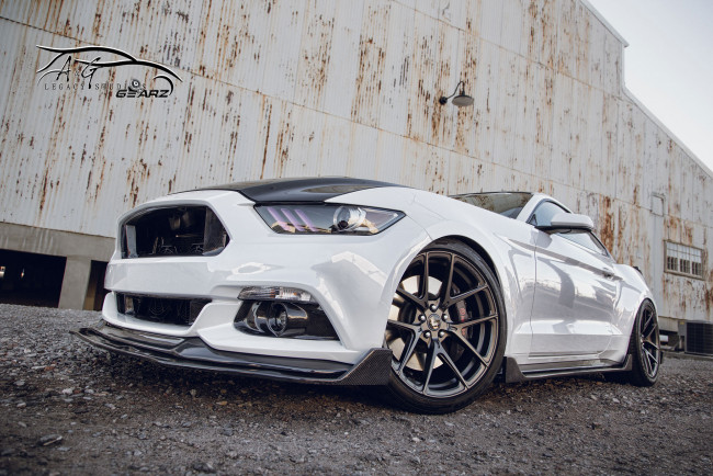 Обои картинки фото автомобили, mustang