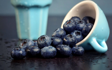 Картинка еда голубика +черника черника