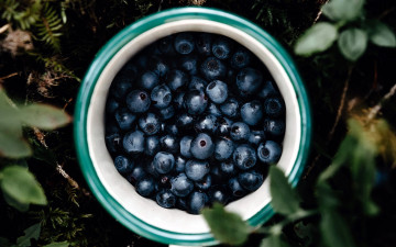 Картинка еда голубика +черника черника