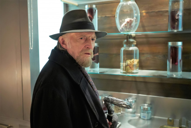 Обои картинки фото кино фильмы, the strain, профессор, полки