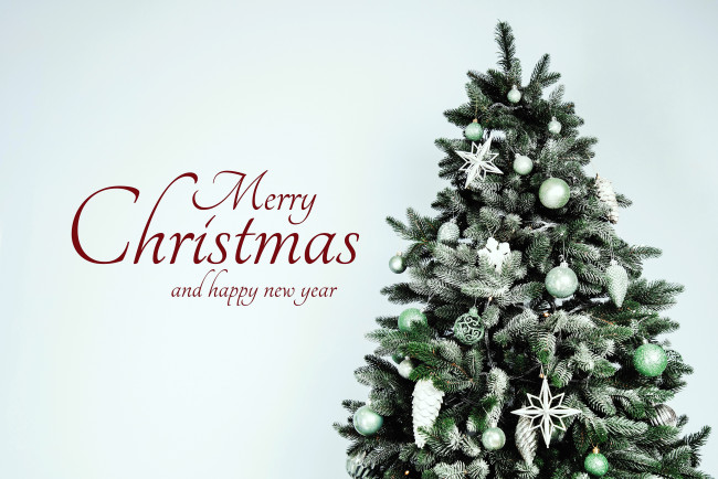 Обои картинки фото праздничные, ёлки, ёлка, украшения