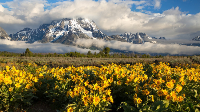 Обои картинки фото mount moran, grand tetons np, wyoming, природа, горы, mount, moran, grand, tetons, np