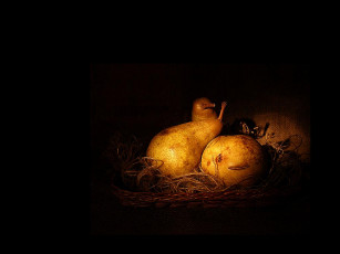 Картинка еда груши