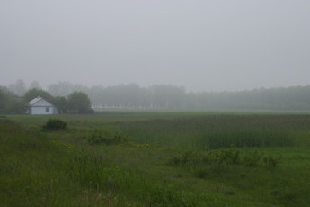 Картинка природа