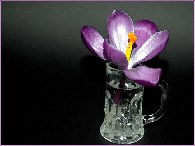 Обои картинки фото разное